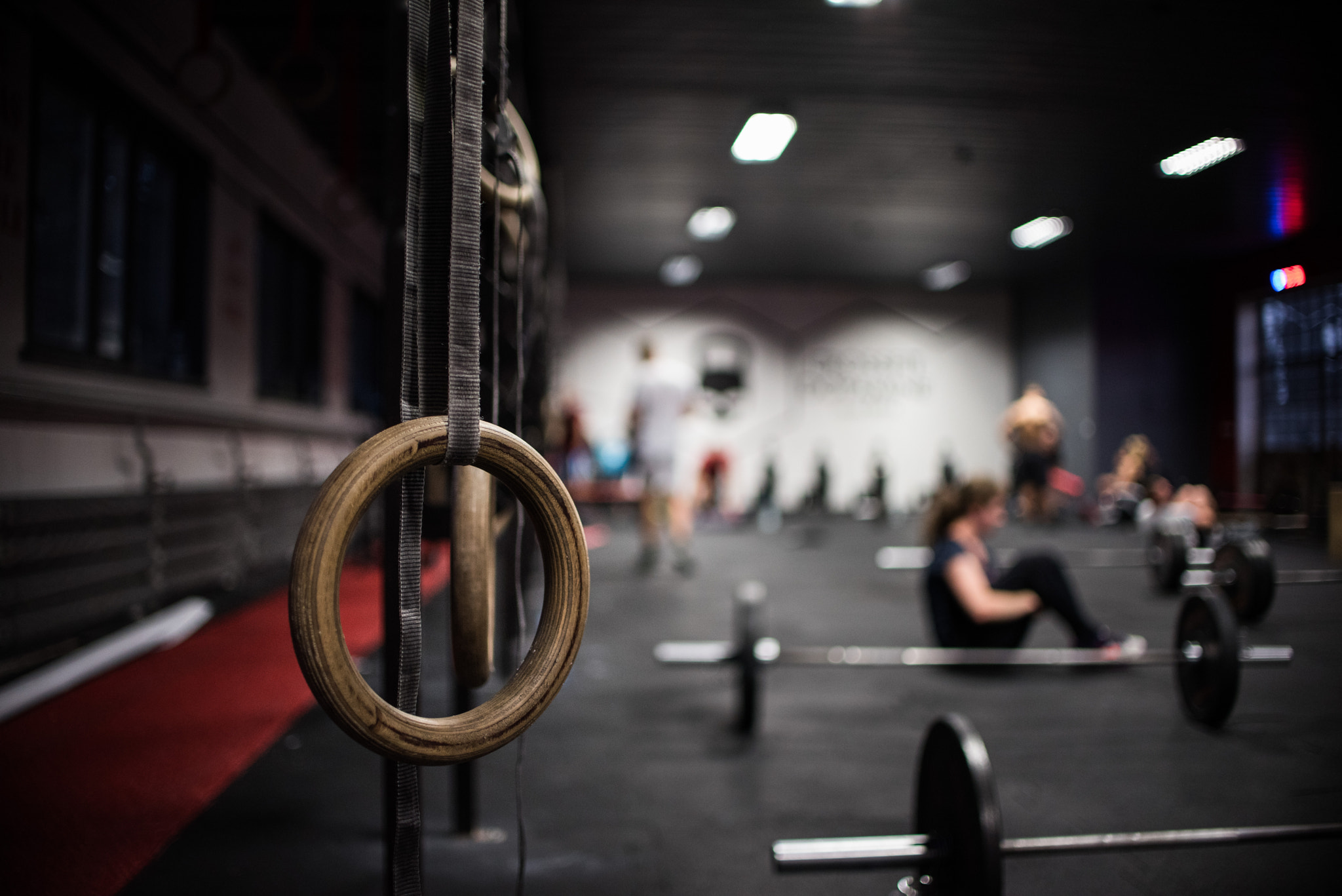Gymnastic rings in India: buy them or DIY them for Rs. 900
